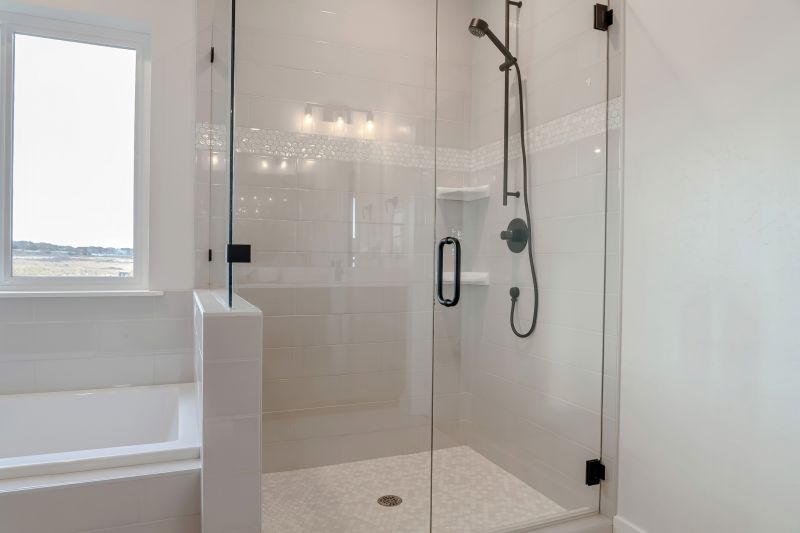 Elegant Frameless Shower Door